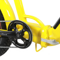 Big Tyre Electric Folding Bike/ 500W E Bike for All Road